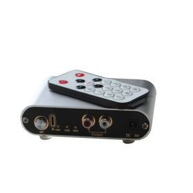 Audio source switch (Option: Silver-US)